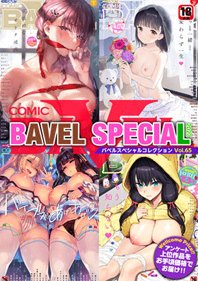 『COMIC BAVEL SPECIAL COLLECTION VOL65』 