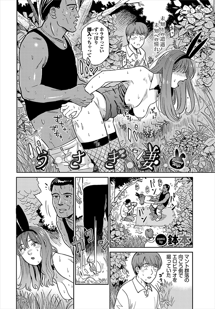 うさぎ妻